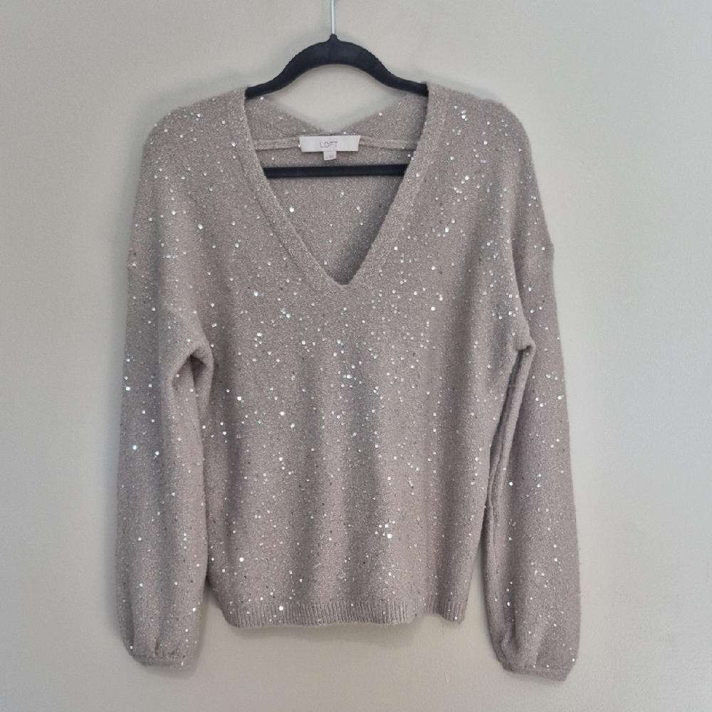 LOFT Women's Sparkling Beige V-Neck Sweater